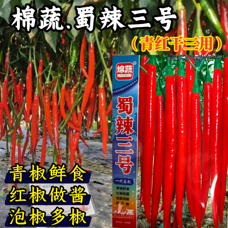 蜀辣三号线椒辣椒种子青红干条椒泡椒剁椒红椒酱高辣二荆条种
