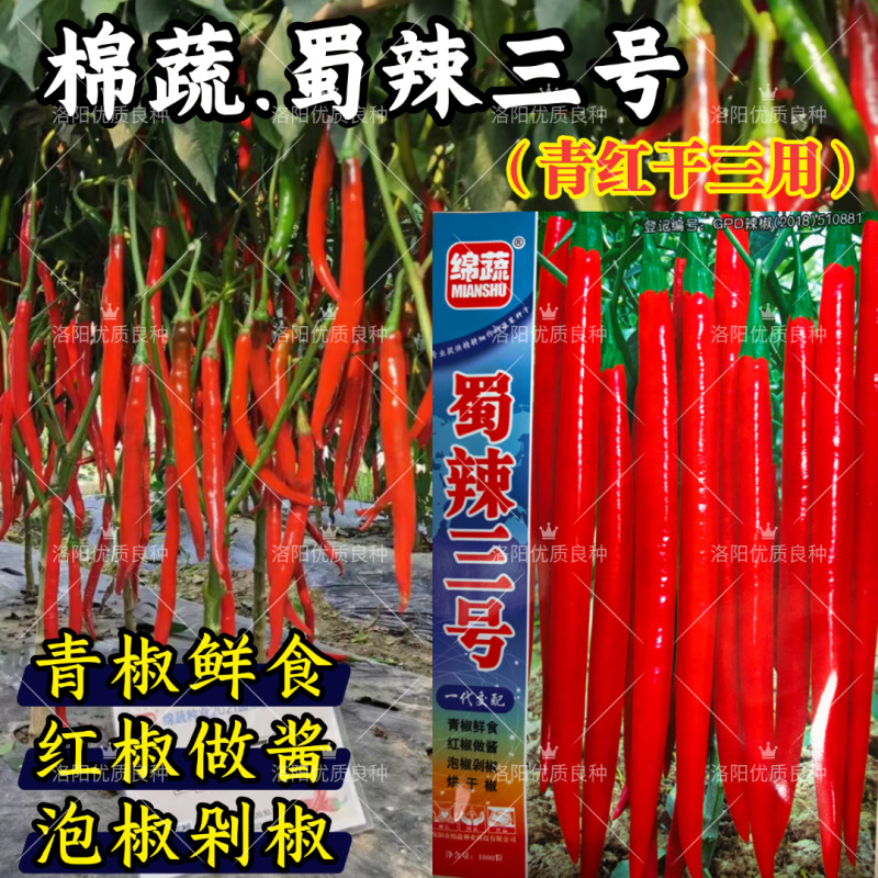 蜀辣三号线椒辣椒种子青红干条椒泡椒剁椒红椒酱高辣二荆条种