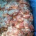 铃铛肉国产纯干不调理精品牛肉