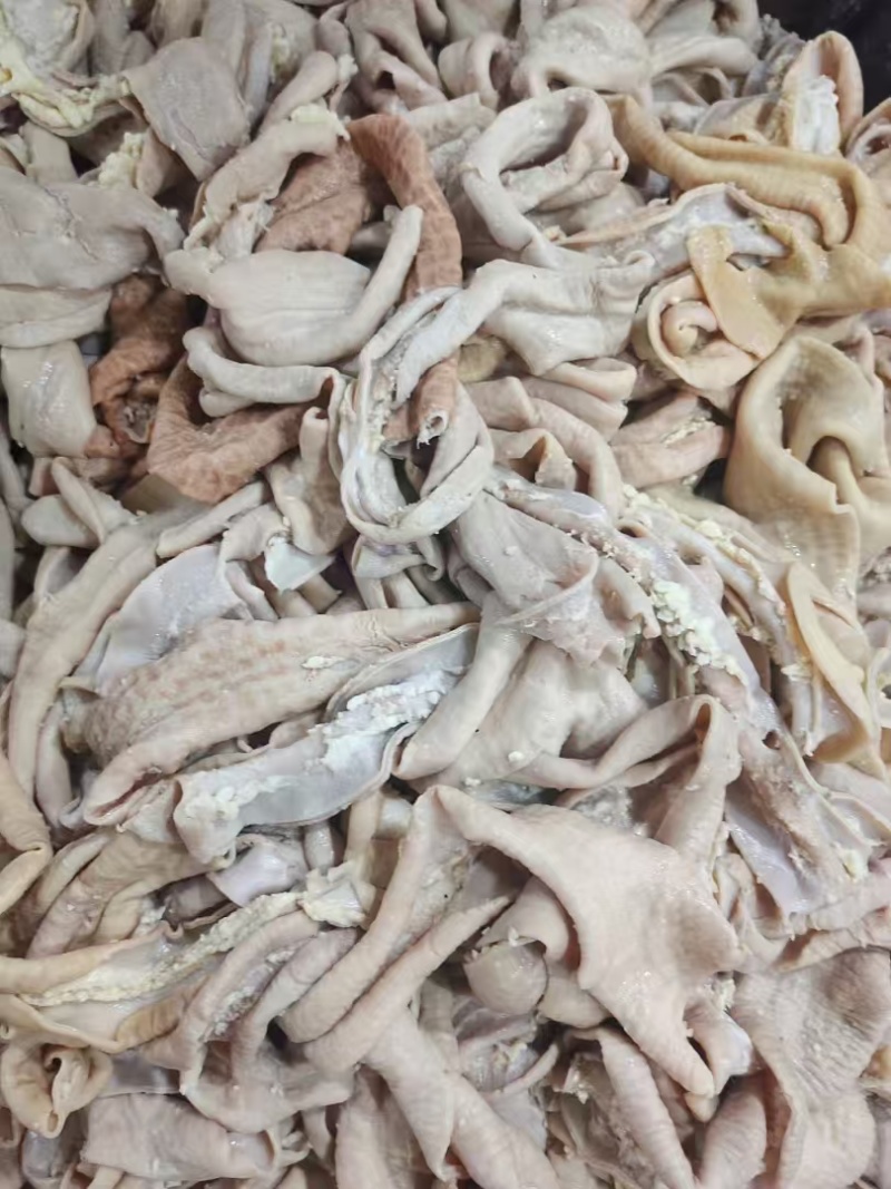 小肠片
