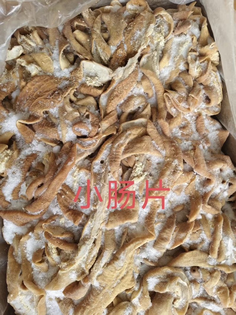 小肠片