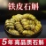 石斛中药材，正宗石斛批发零售货真价实霍山米斛