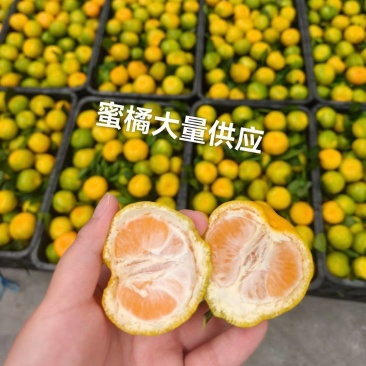 【热卖】蜜橘湖北宜昌蜜橘产地直发坏果包赔量大优惠