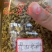 石斛中药材，正宗石斛批发零售货真价实霍山米斛
