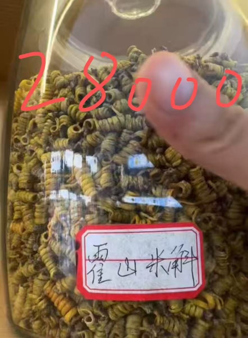 石斛中药材，正宗石斛批发零售货真价实霍山米斛