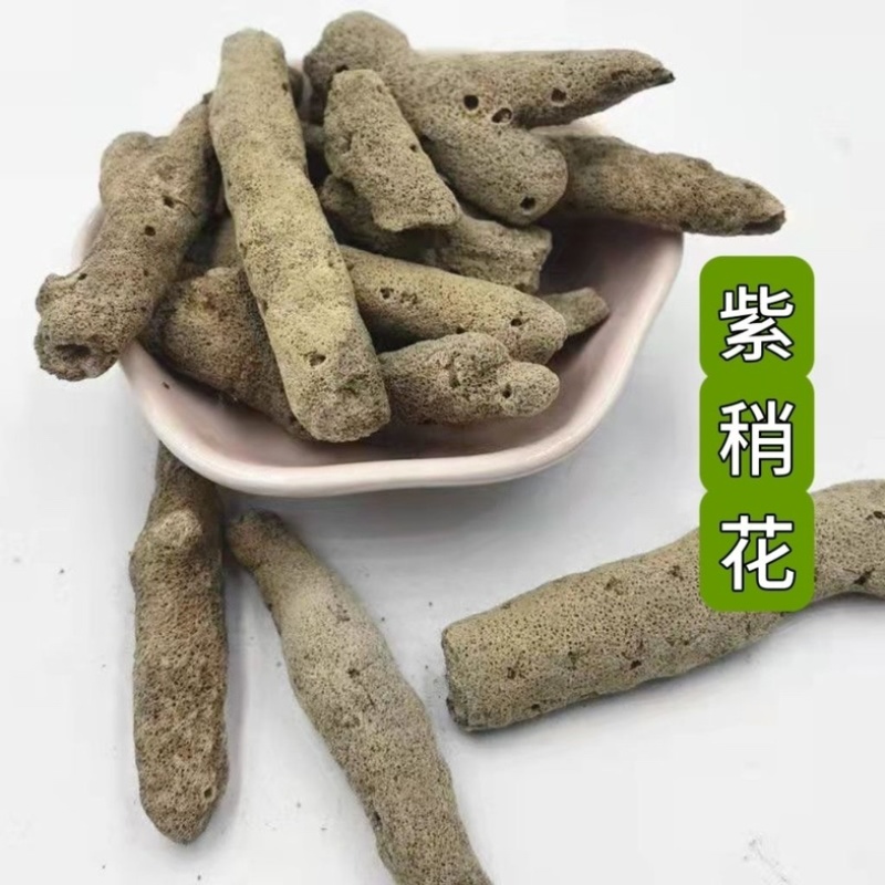 紫梢花中药材批发零售货真价实冷背中药材大全