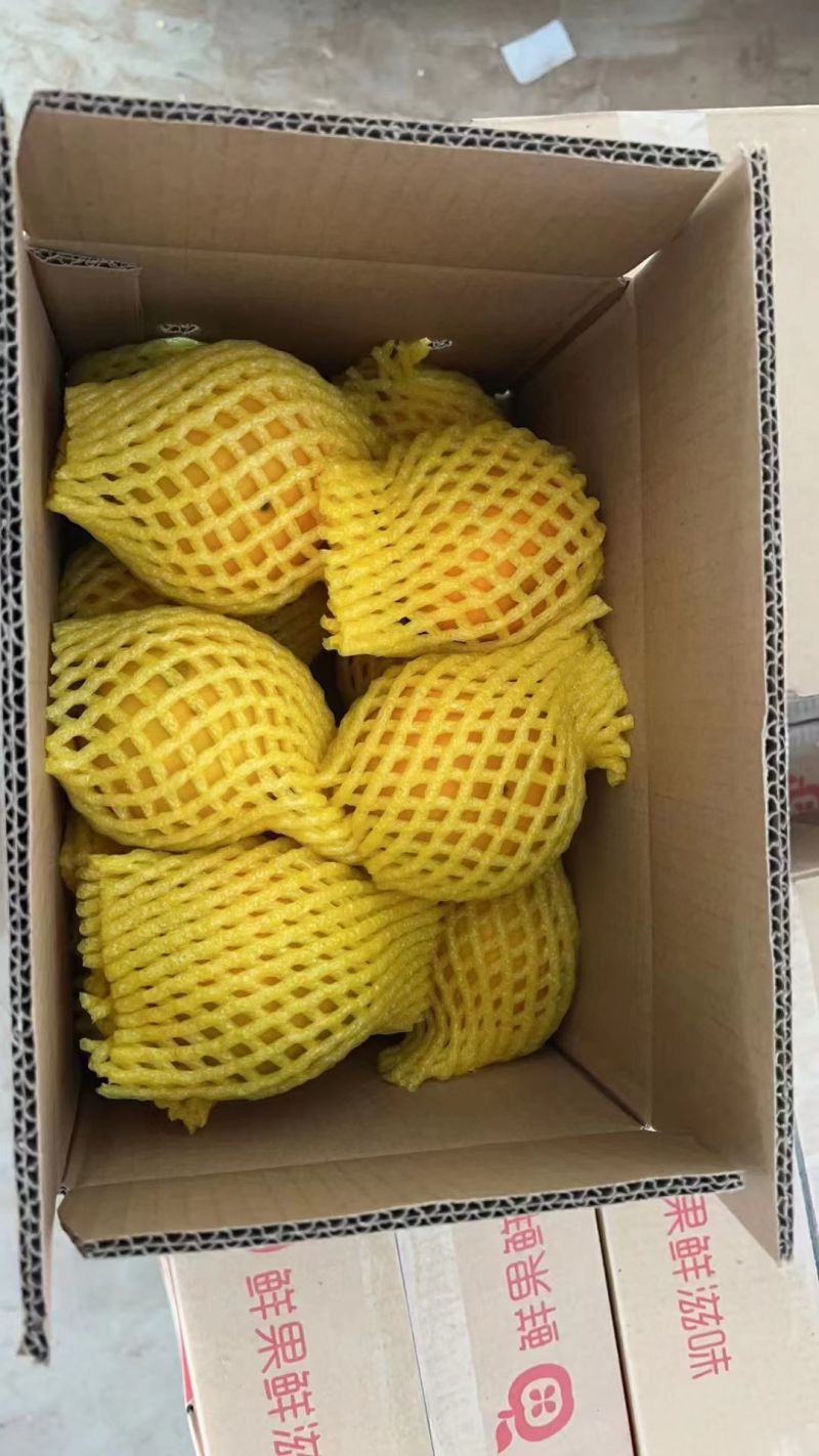 阳丰巧克力脆柿子电商一件代发精品机选果