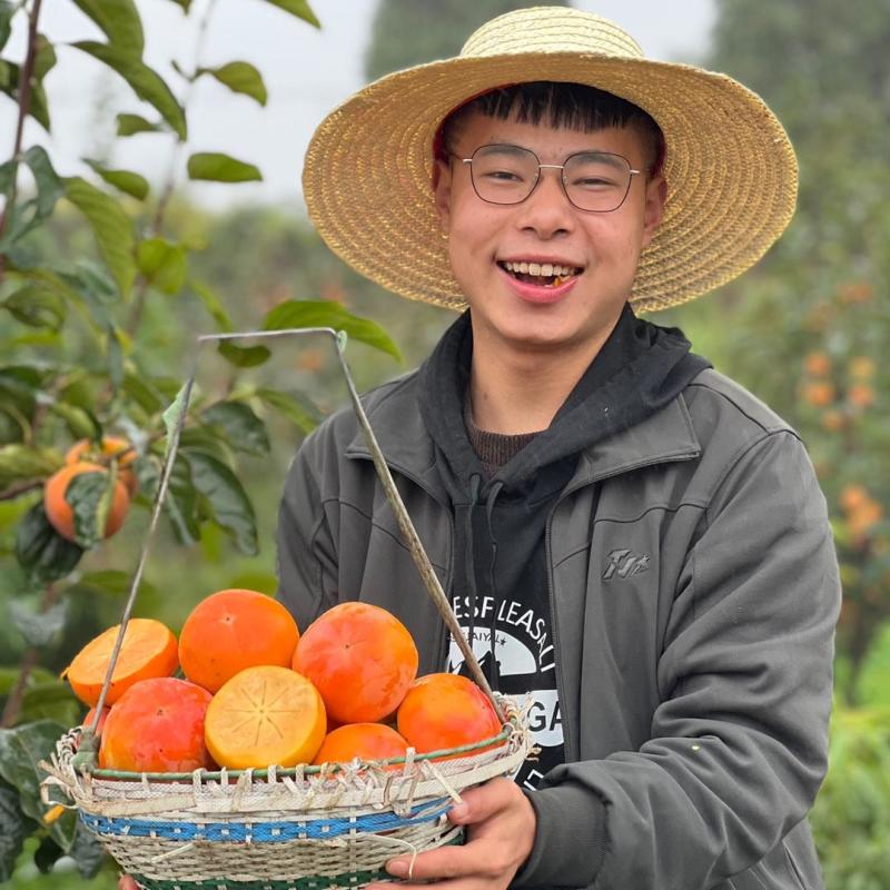 阳丰巧克力脆柿子电商一件代发精品机选果