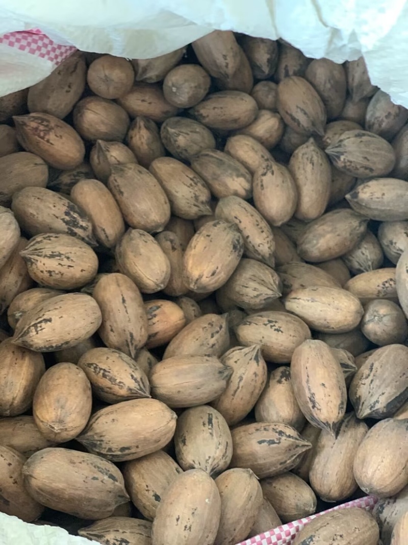 今秋润十月采摘正当时