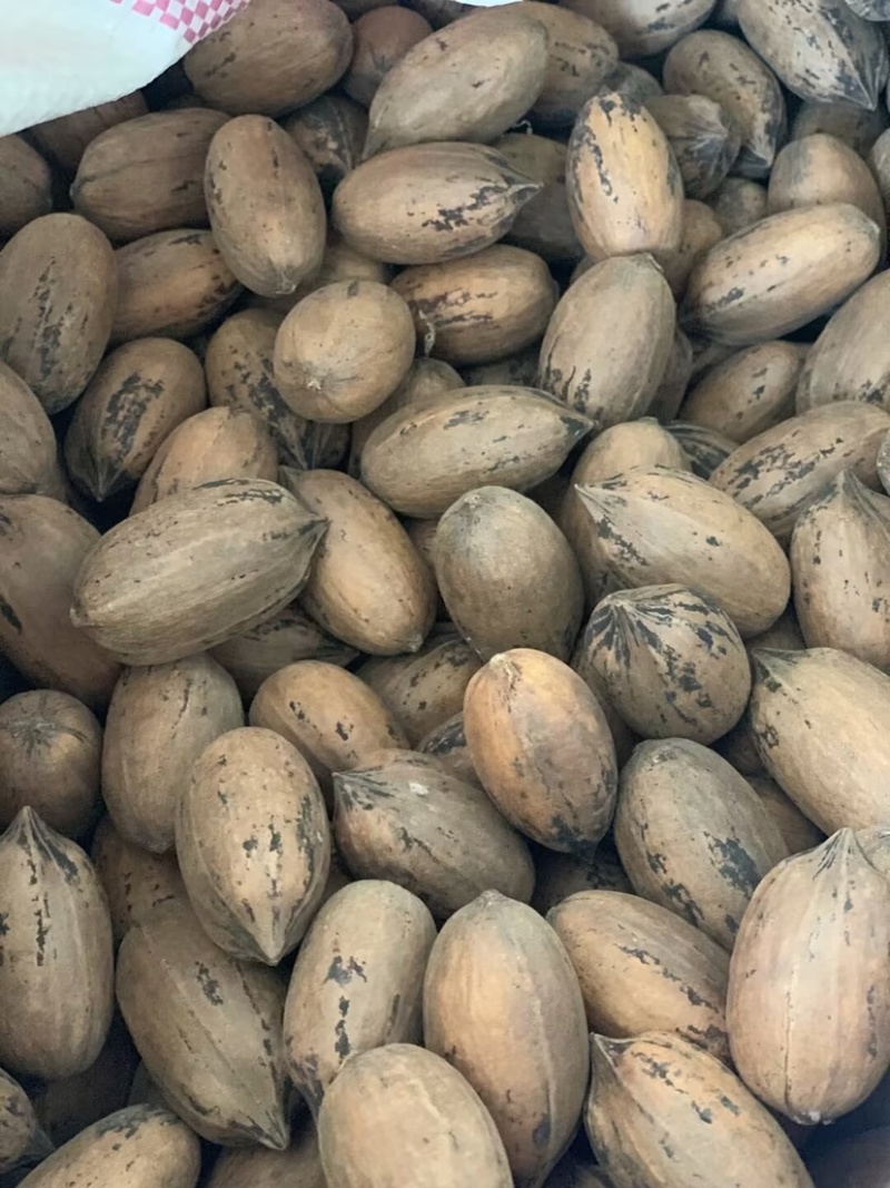 今秋润十月采摘正当时