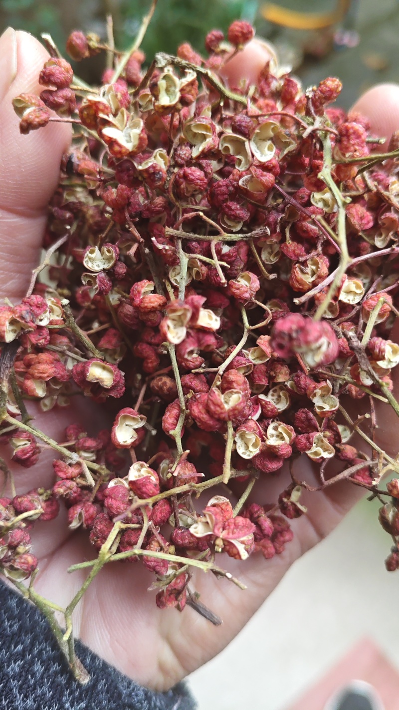 陕西韩城大红袍花椒颜色鲜红颗粒大香味纯正，产地货源。