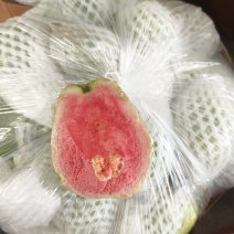 芭乐，3两起