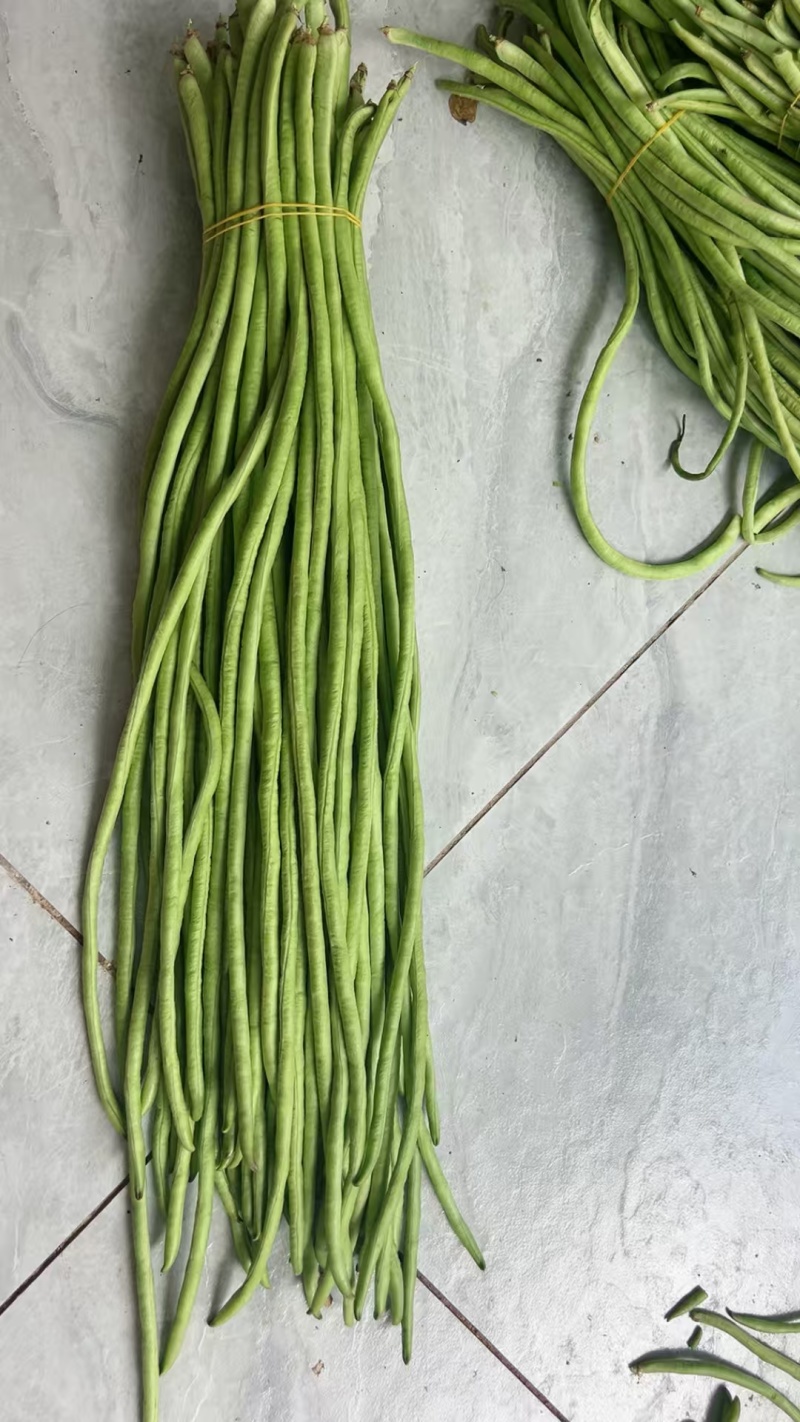 【青条豆角】云南豆角，产地大量有货，没有中间商