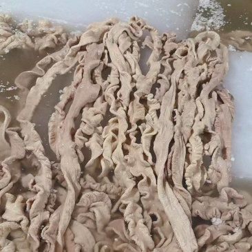 预煮猪大肠去油百分之九十