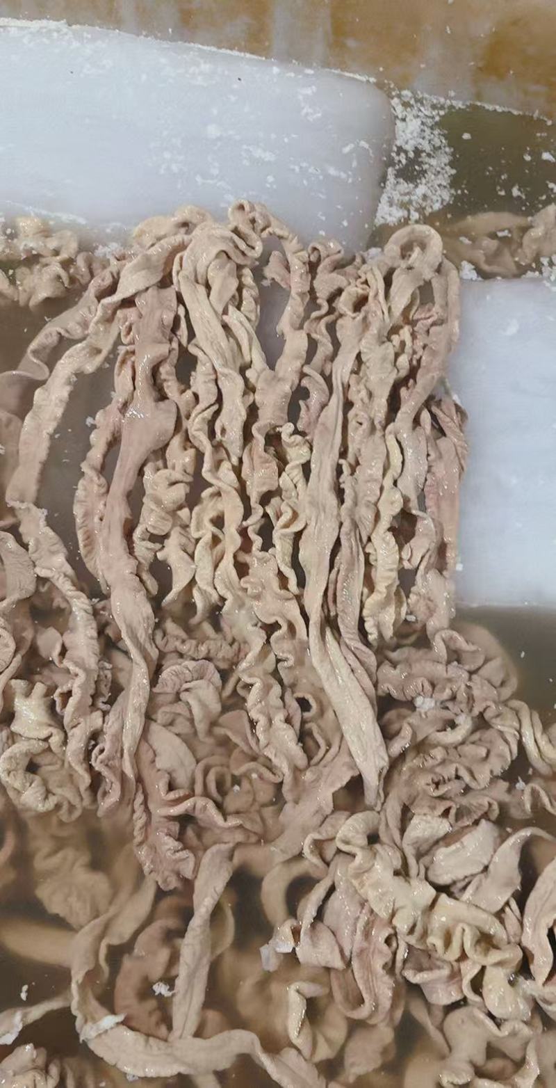 预煮猪大肠去油百分之九十