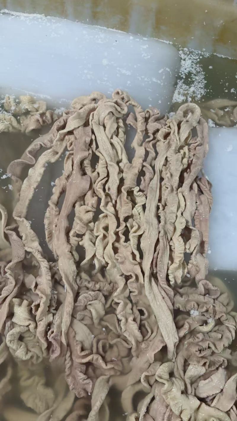 预煮猪大肠去油百分之九十