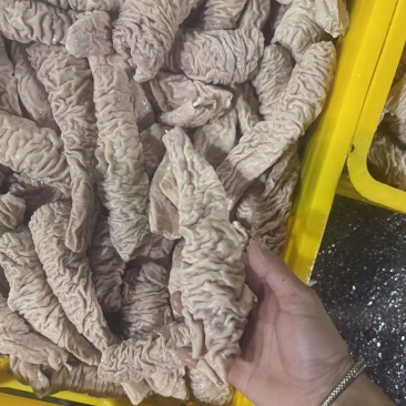 预煮精品大肠肠头