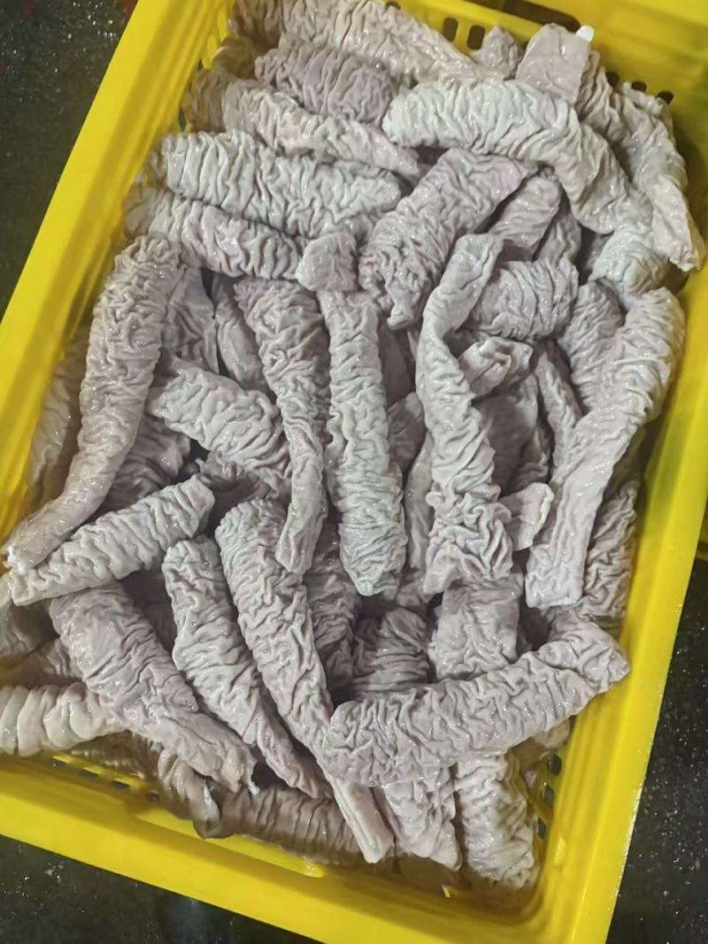 预煮精品大肠肠头