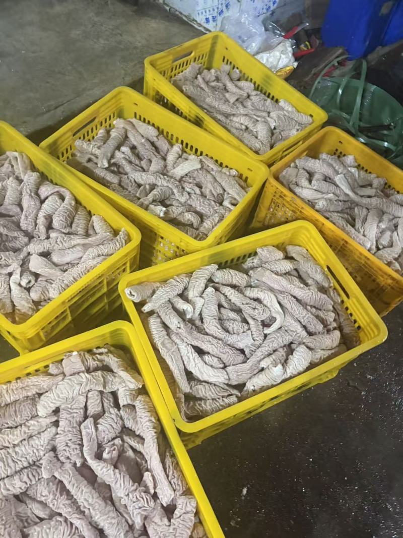 预煮精品大肠肠头