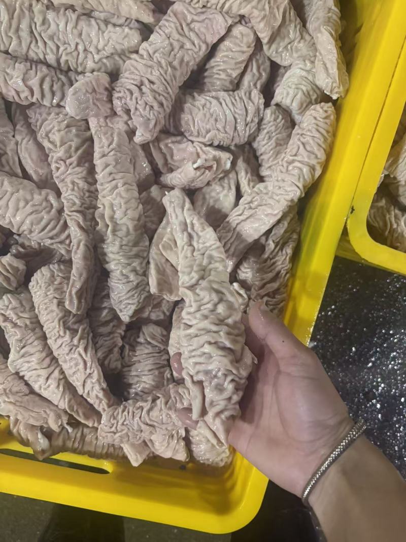 预煮精品大肠肠头