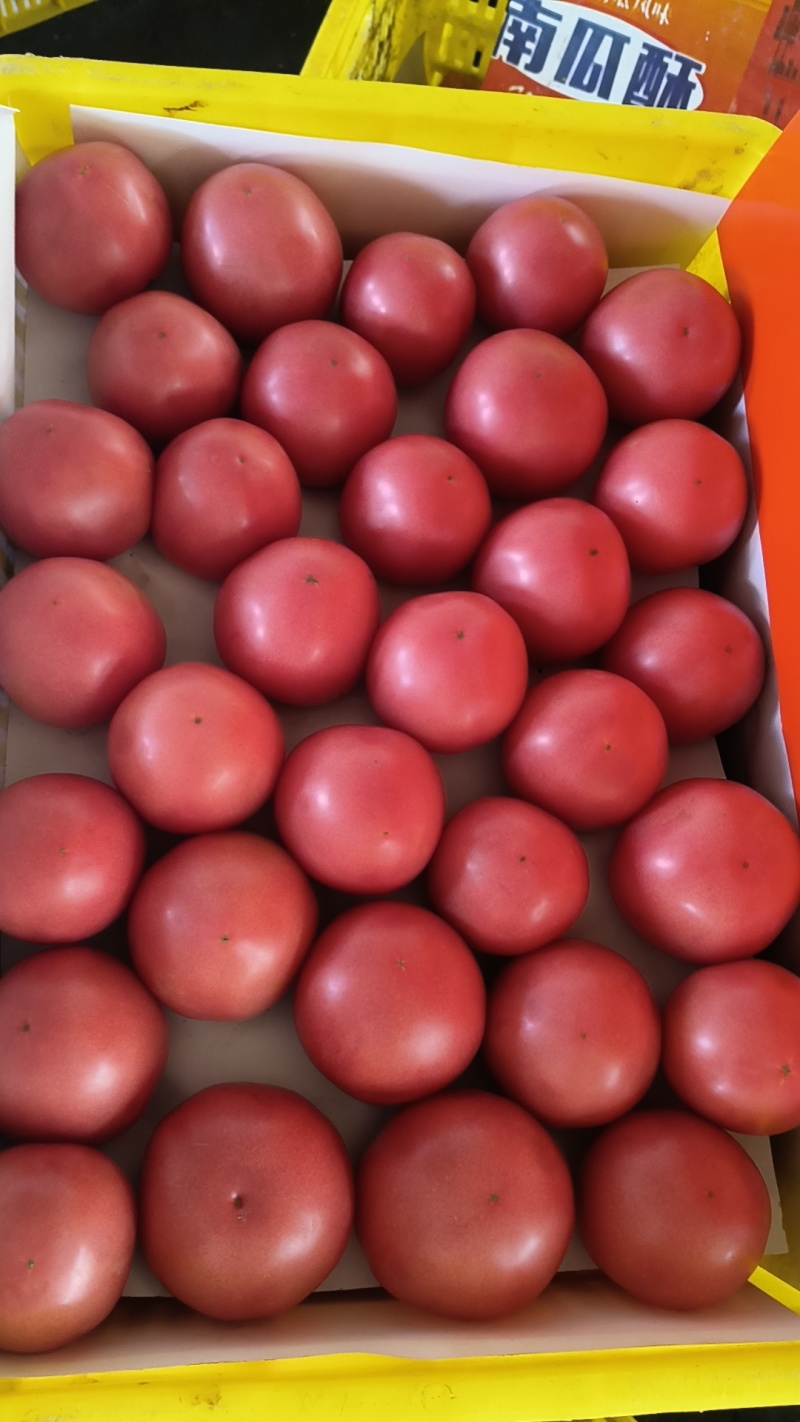 精品小果食堂货大量都有货。价格都是毛毛钱。需要的联系。