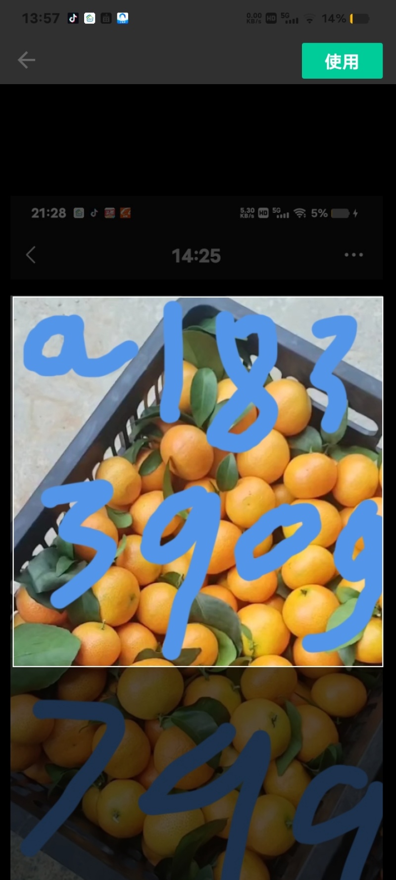 金秋沙糖桔金秋沙糖桔