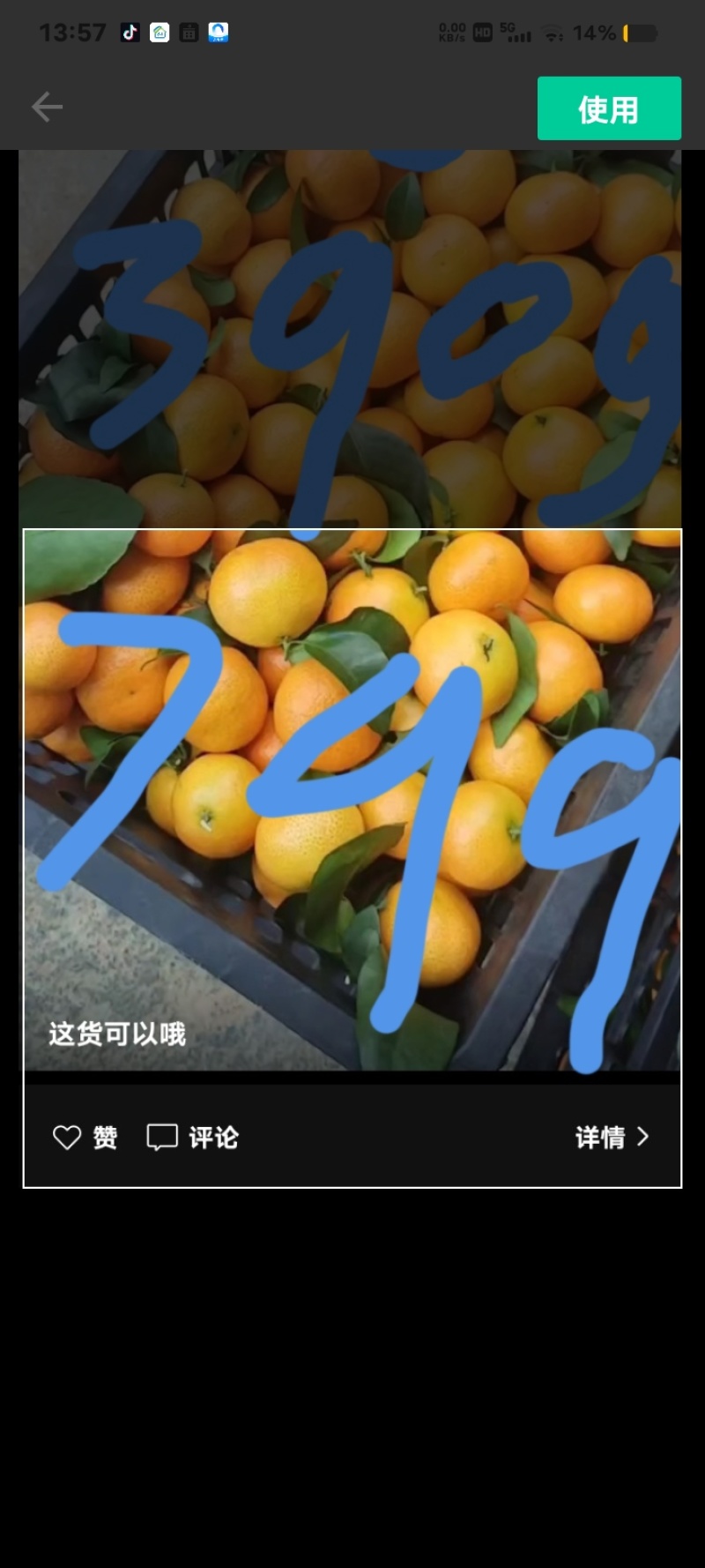 金秋沙糖桔金秋沙糖桔