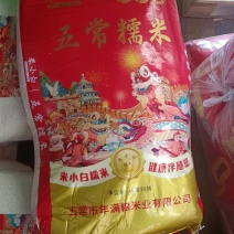 东北新糯米