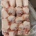 带皮小肘子，宴席喜宴熟食店用非常好，单个8两左右