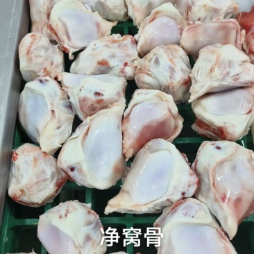 净窝骨