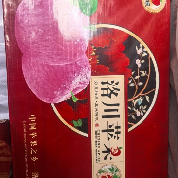 洛川红富士