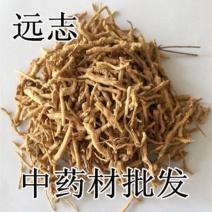 远志中药材肉带芯精选空心新货包邮野生正品正宗