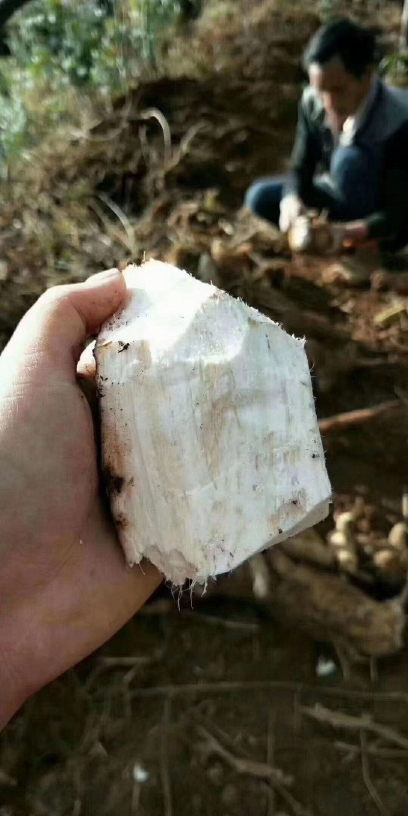 葛根粉云南葛根批发切片磨粉颗粒块状都有葛根散装无硫纯葛根