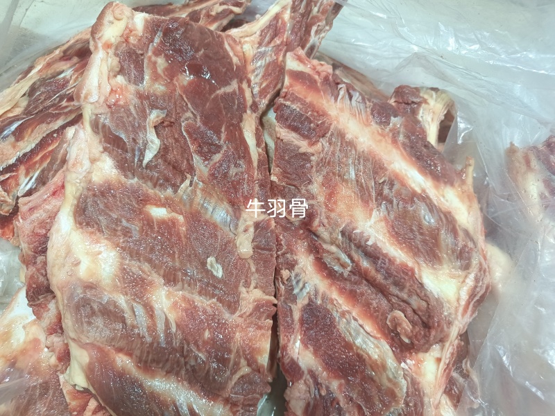 牛羽骨