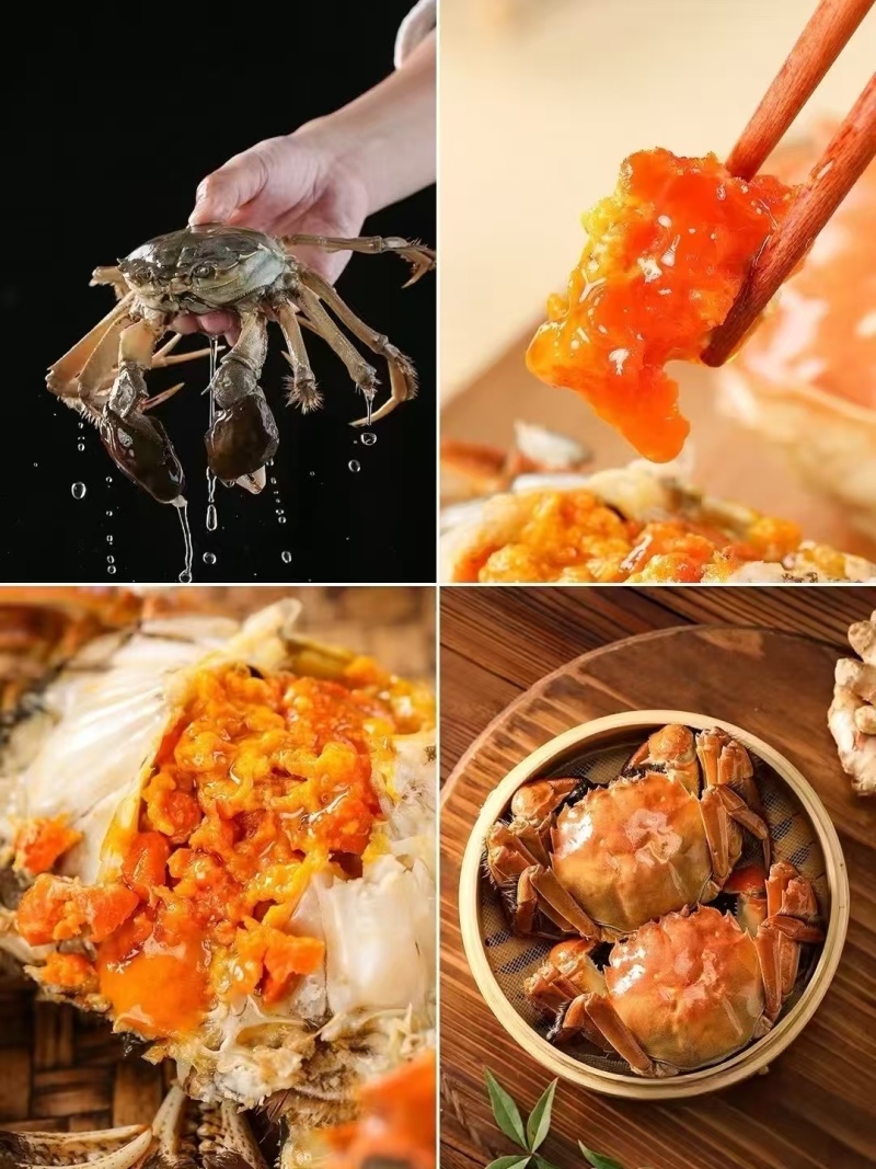 阳澄湖大闸蟹批发