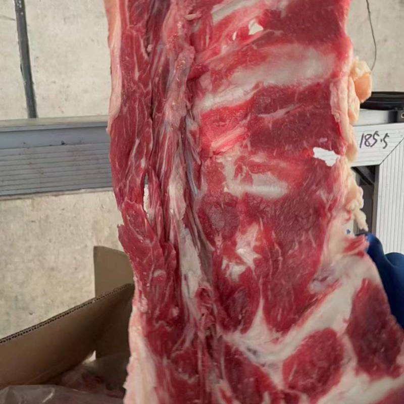 牛脊骨后段