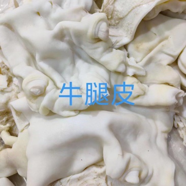 牛腿皮