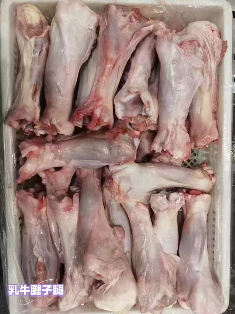 乳牛腱子腿