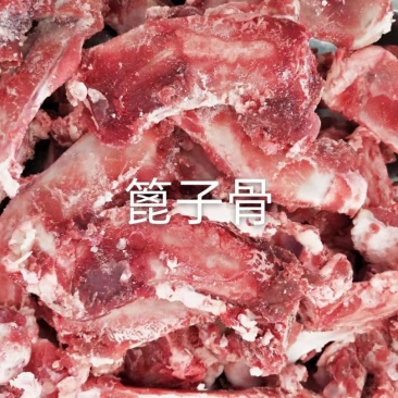 篦子骨
