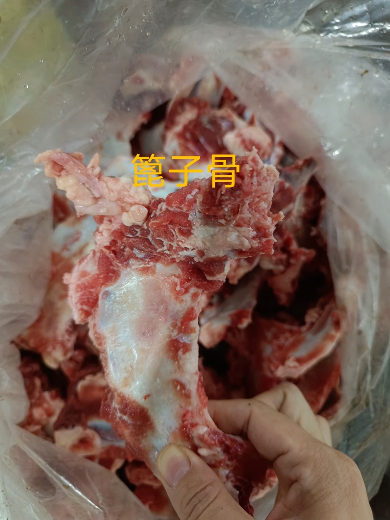 篦子骨