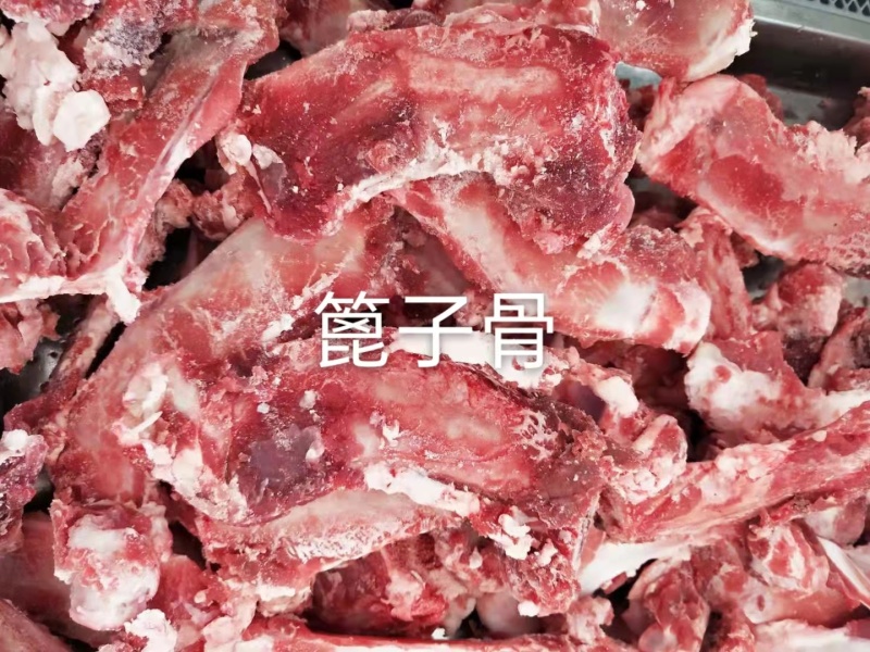 篦子骨