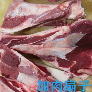 加肉牛扇子骨