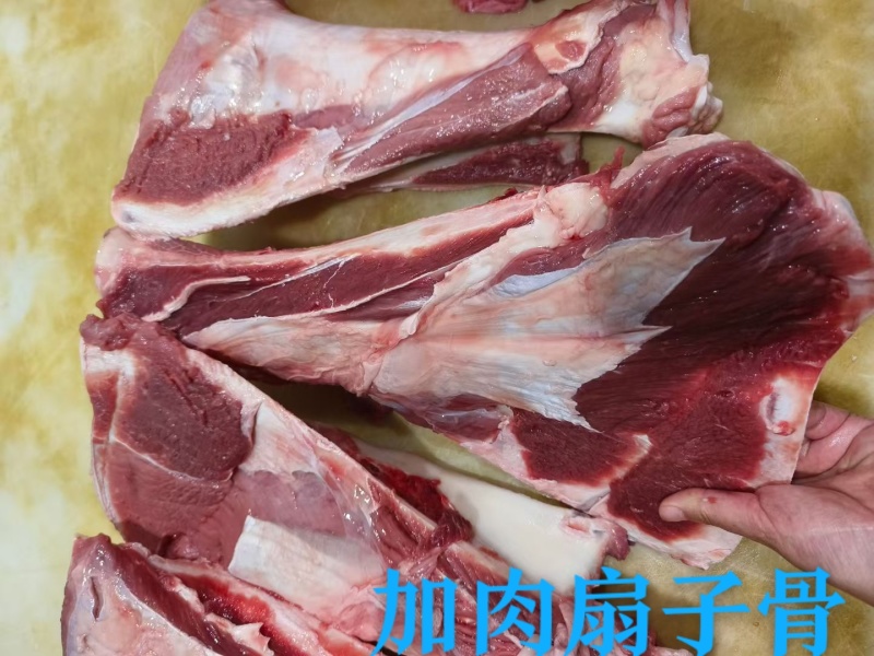 加肉牛扇子骨