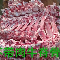 不带肉脊骨