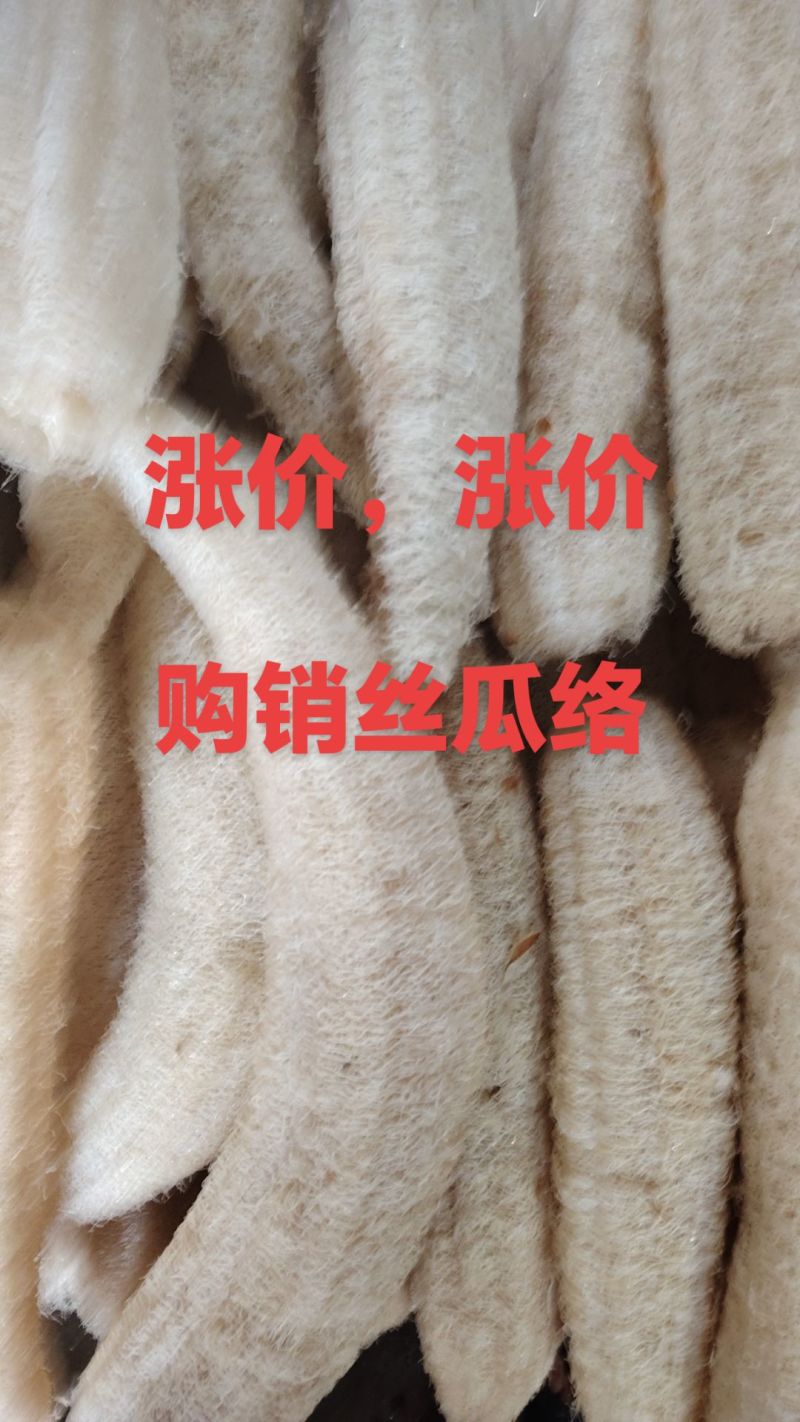 纯白丝瓜络，种植基地千亩新货20吨开免税发票。洗澡洗碗