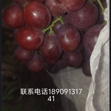 红提