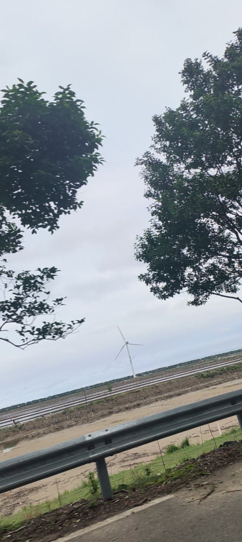 江苏东台蹲门青蟹
