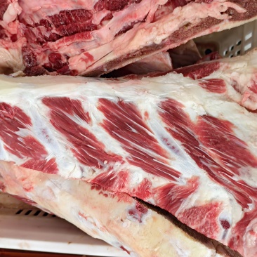 带肉牛胸骨