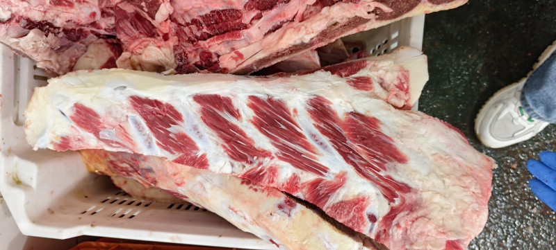 带肉牛胸骨