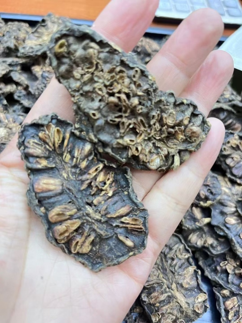 云南诺丽果批发大量现货诺丽果西双版纳特产孝素新鲜水果新货